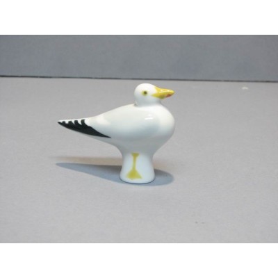 Gaviota patiamarilla - gaivota