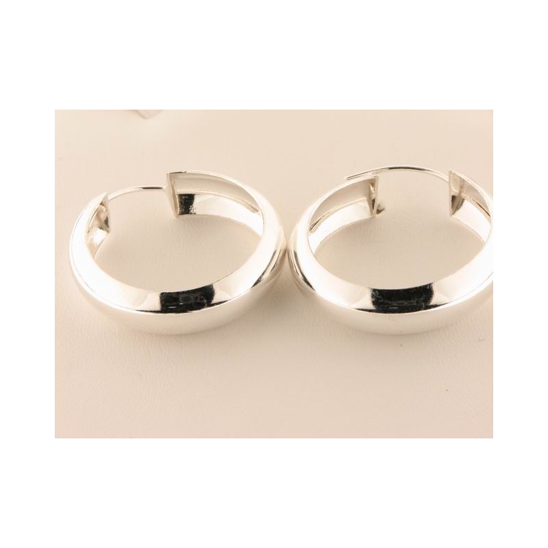 Pendientes plata aro