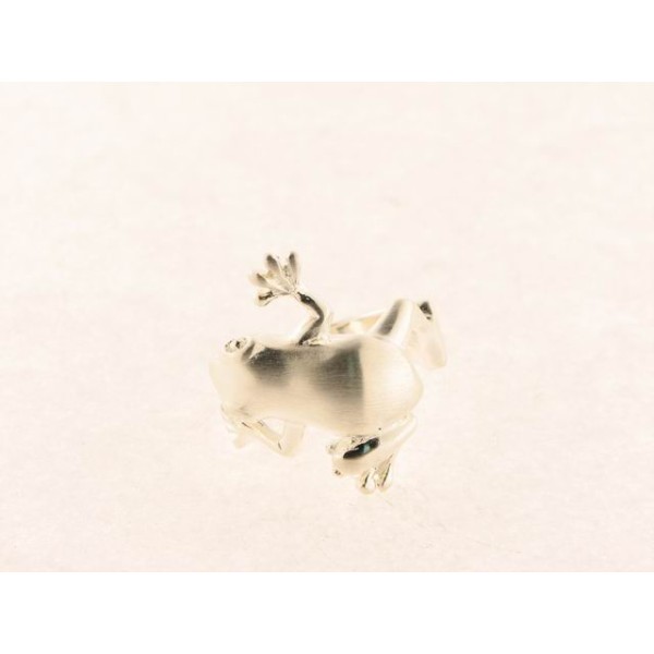 Anillo Plata