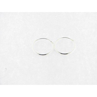 Pendientes Aro Plata