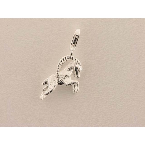 Charm Horoscopo Capricornio Plata