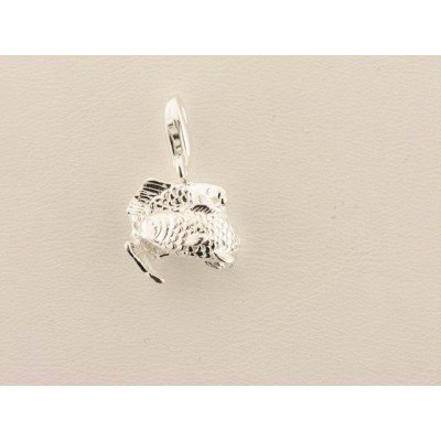 Charm Horoscopo Piscis Plata