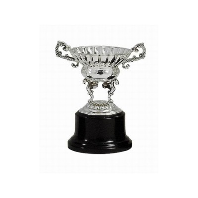 Trofeo plata pebetero t/2 a.20cm