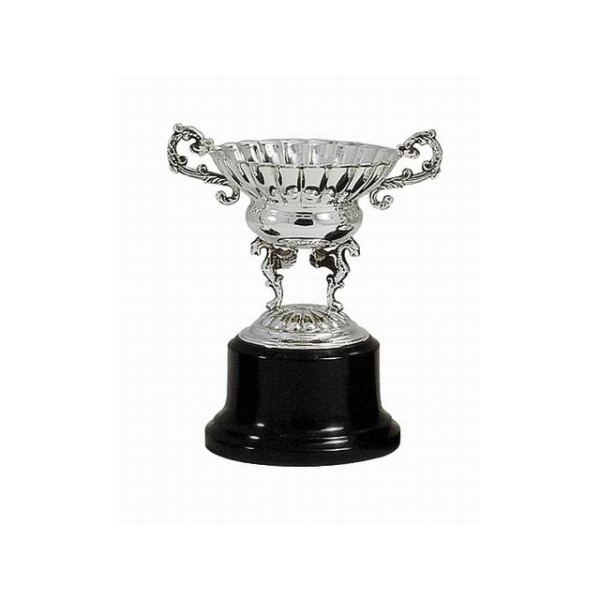 Trofeo plata pebetero t/2 a.20cm