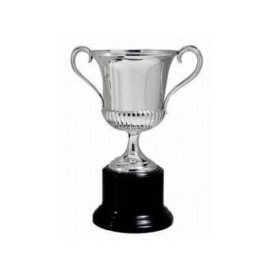 Trofeo plata gallones c/asas 28c