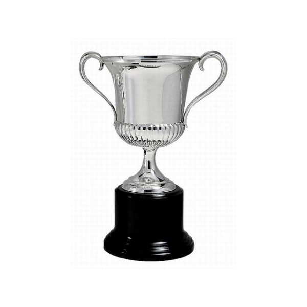 Trofeo plata gallones c/asas 28c