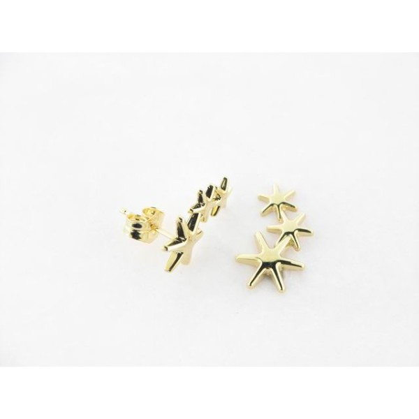 Pendientes Trepador Oro