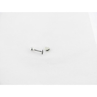 Pendientes plata