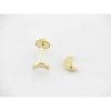 Pendientes Oro Piedra