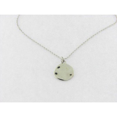 Colgante Plata Con cadena
