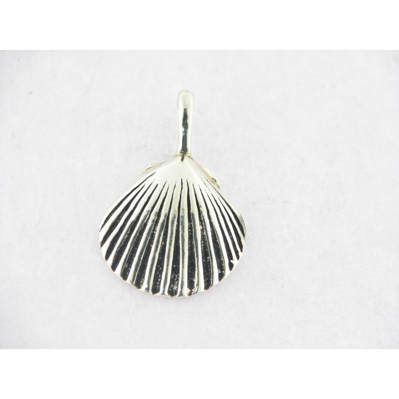 Colgante Plata Concha