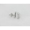 Viceroy pendientes trepadores plata circonitas