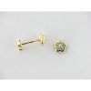 Pendientes Oro Piedras