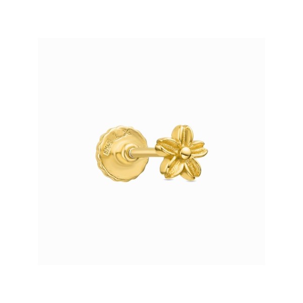 Luxenter Piercing Plata Chapada Sarik