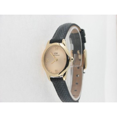 Daniel Wellington acero chapado piel